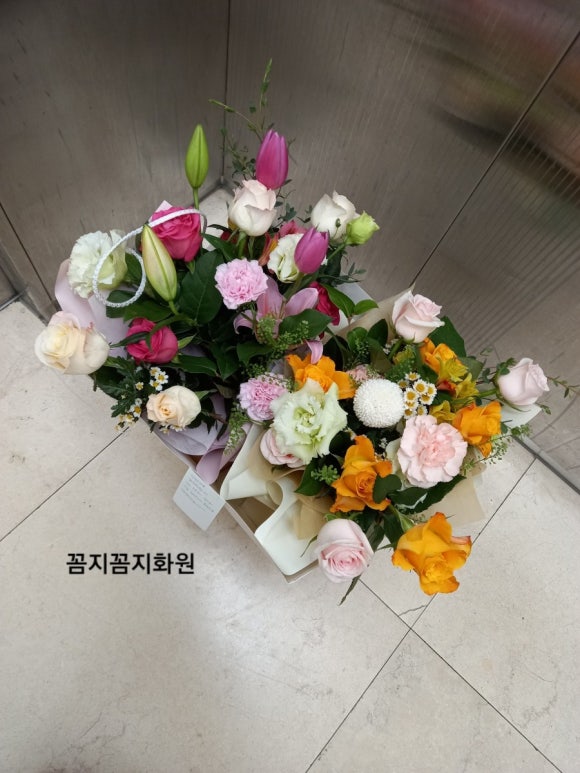 꼼지꼼지화원 이미지