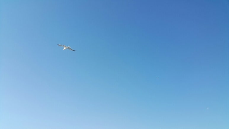 송이횟집 이미지