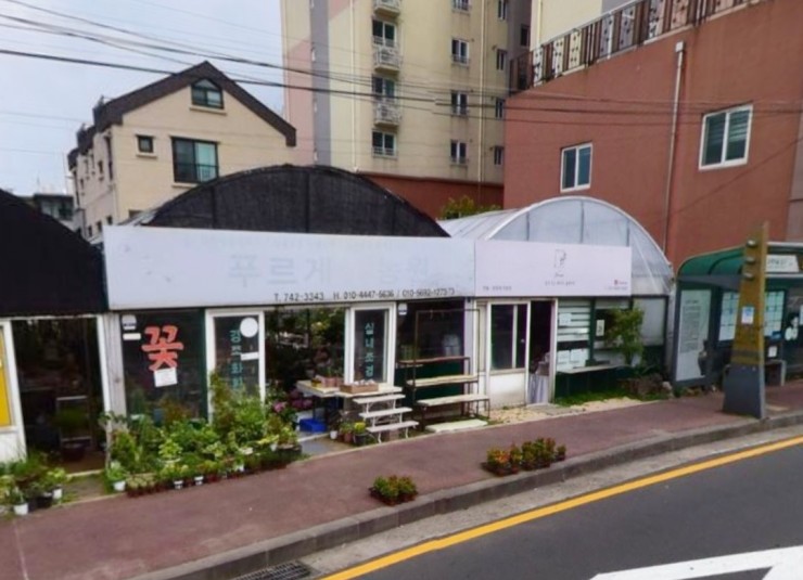 플레시피 이미지