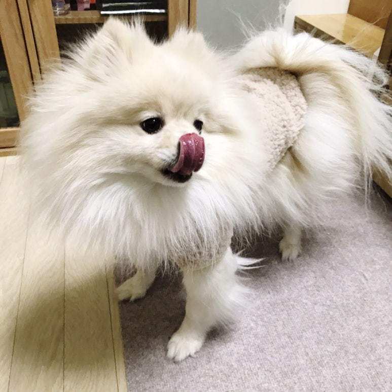 란선물의집 이미지