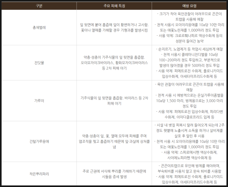 국제종합관리 이미지