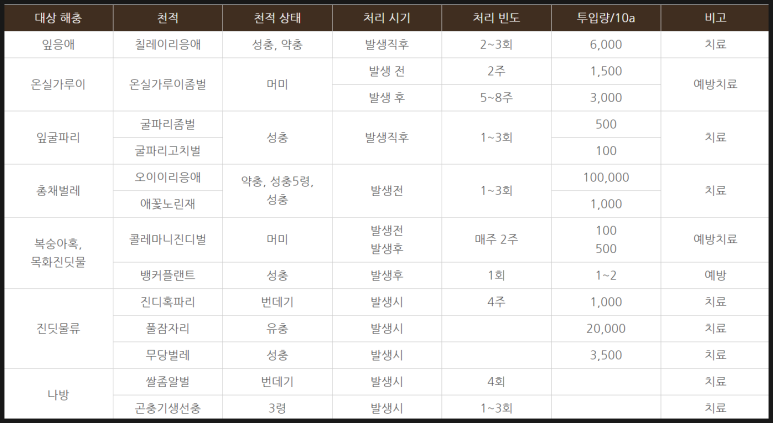국제종합관리 이미지