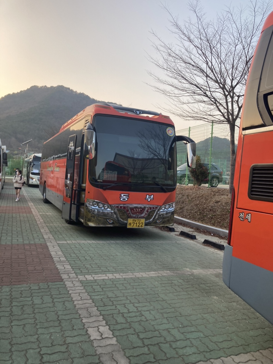 대우여행사 이미지