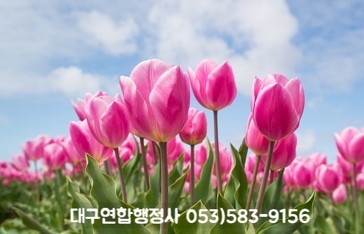 행정사김덕수 이미지