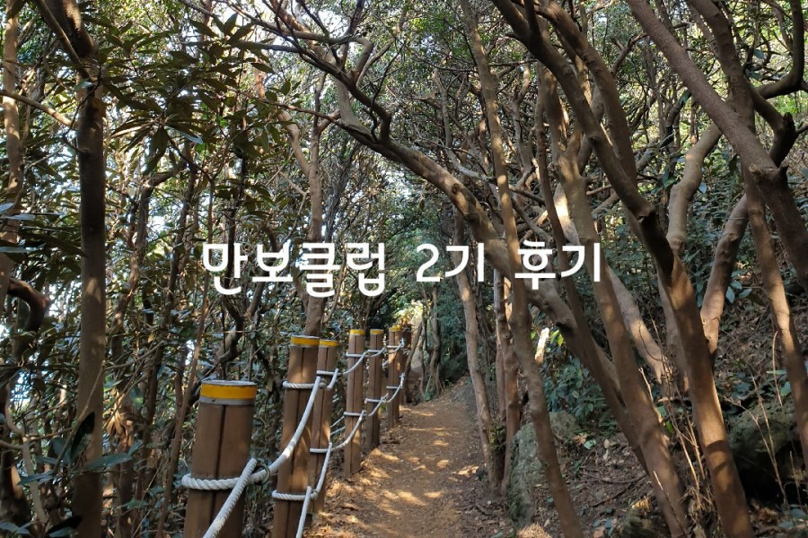 온라인여행클럽 이미지