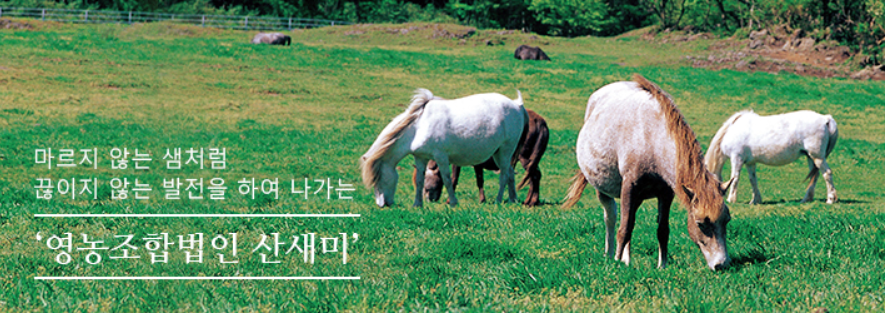 법인착한푸드 이미지