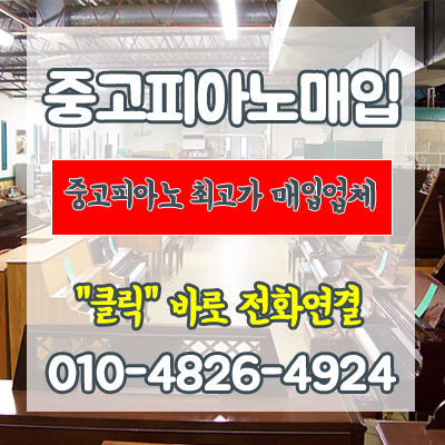 솔로몬피아노 이미지