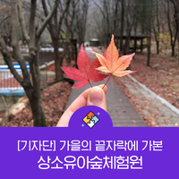 상소 유아숲체험원 이미지