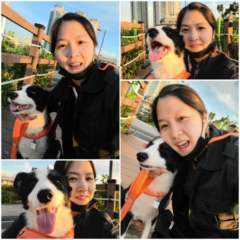 삼성배수지 이미지