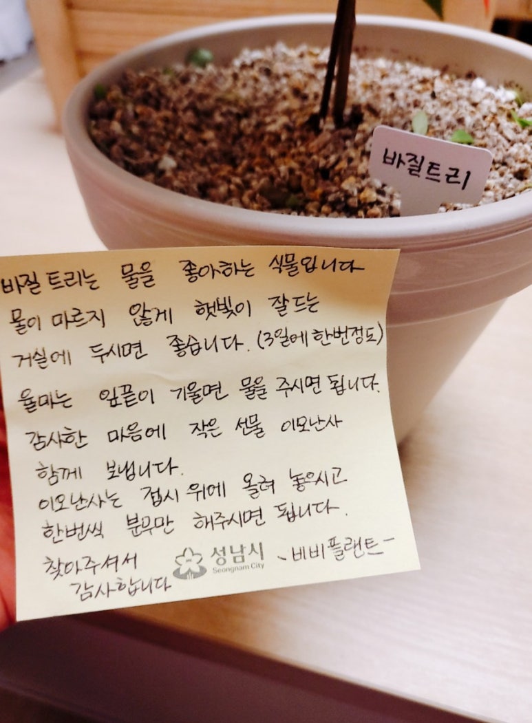 비비플랜트 이미지