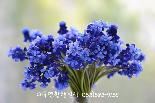 연합행정사사무소 이미지