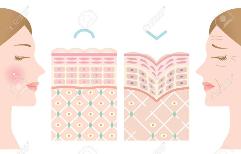 피부살리기 이미지