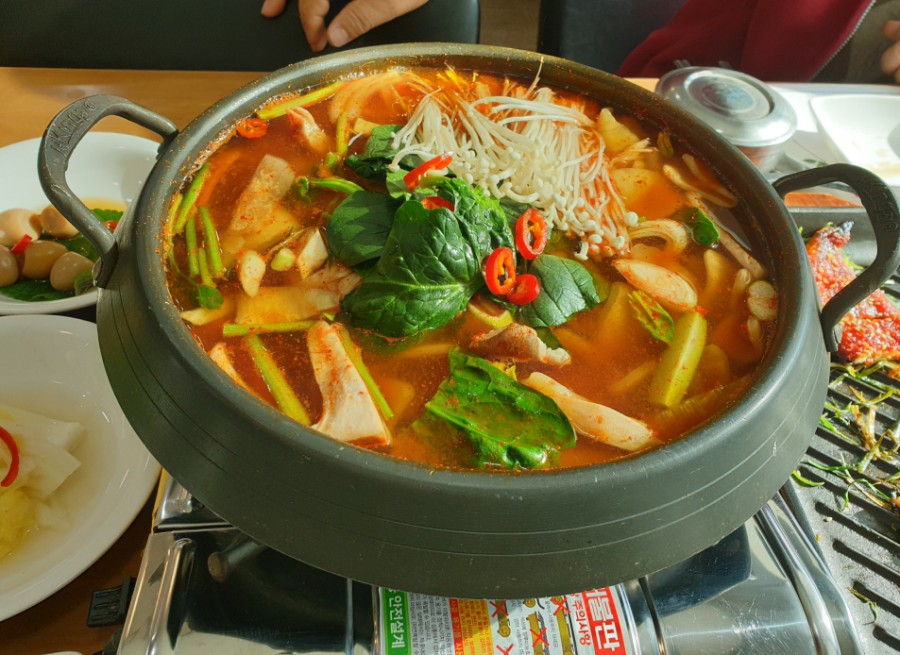 기통찬장어 이미지