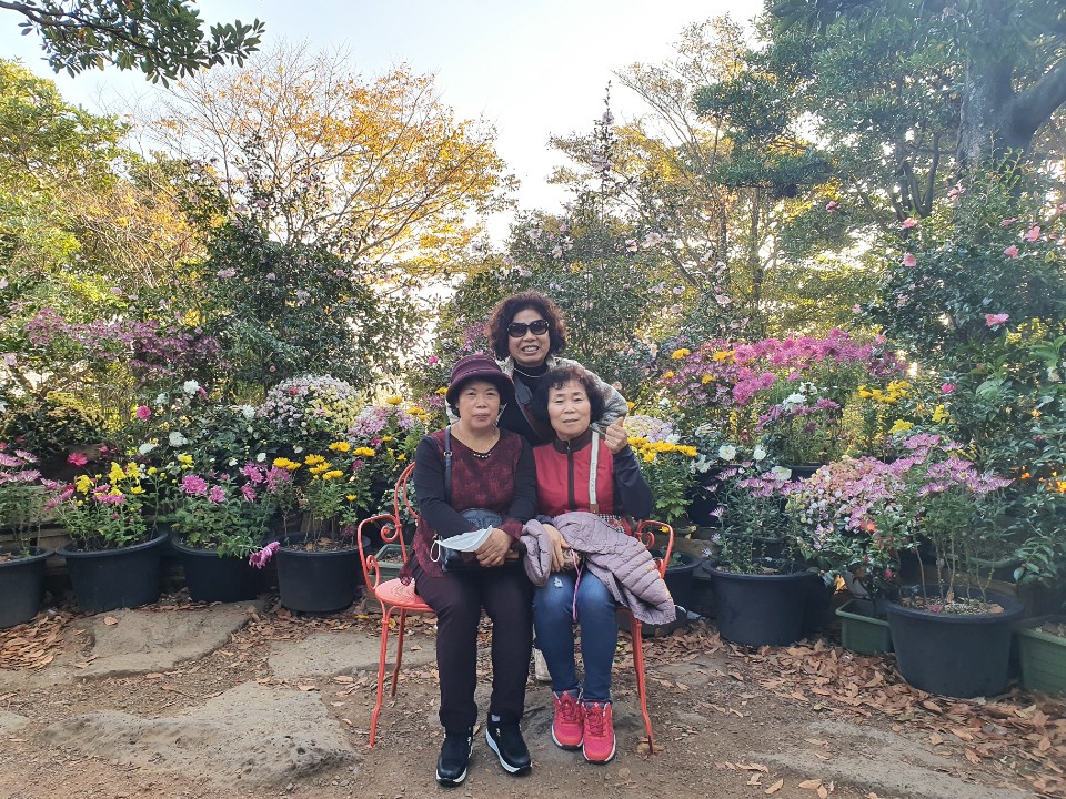 제주앤투어 이미지