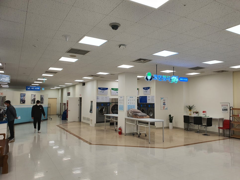 크린토피아코인워시파주 이미지