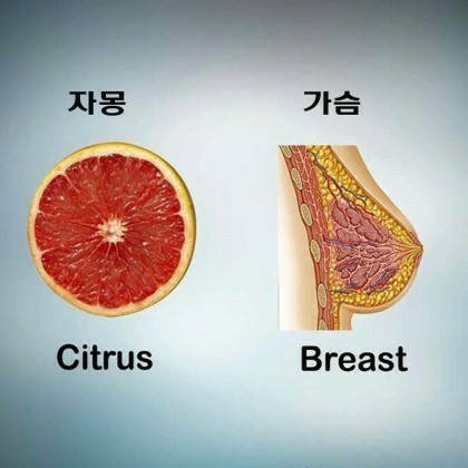 리페이브 이미지