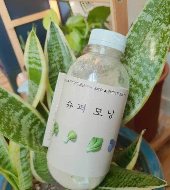 파이토테이블 이미지