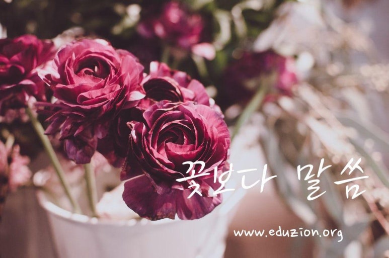 광장열쇠 이미지