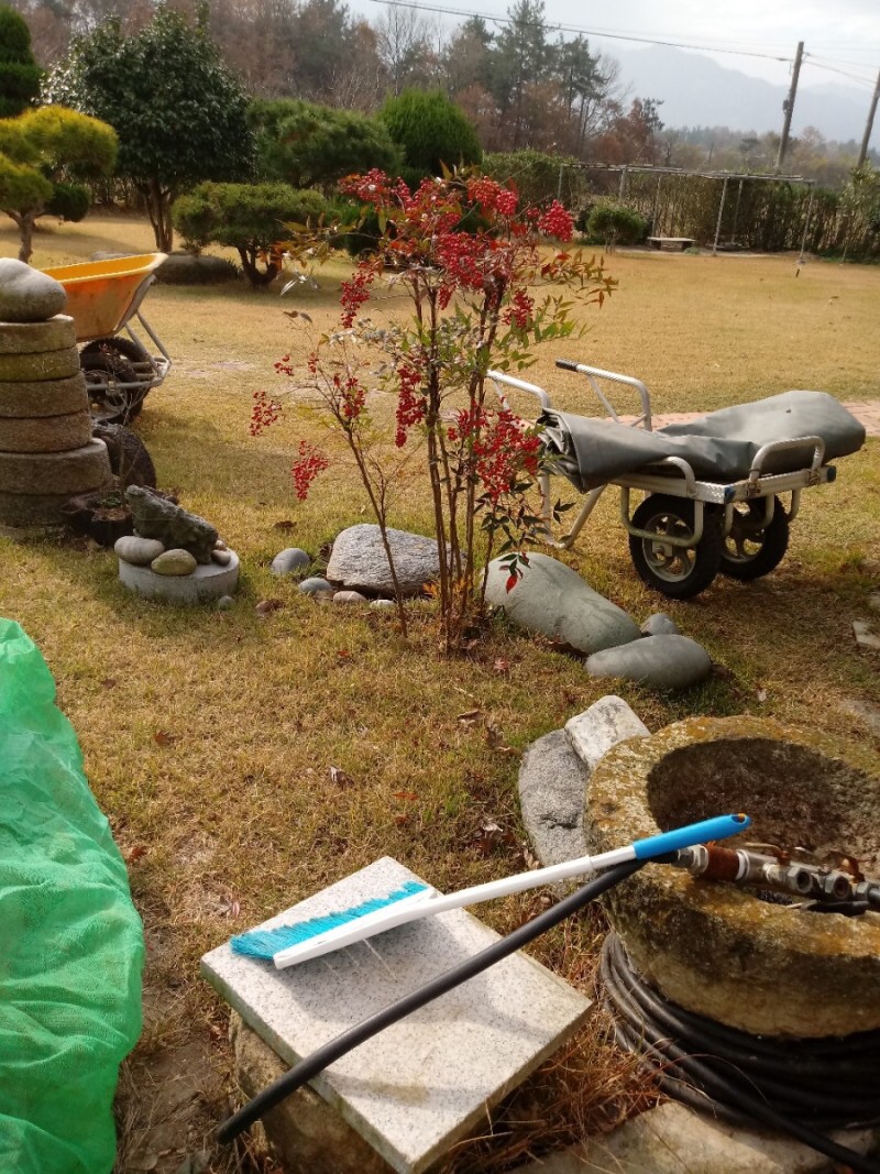 할머니반찬 이미지