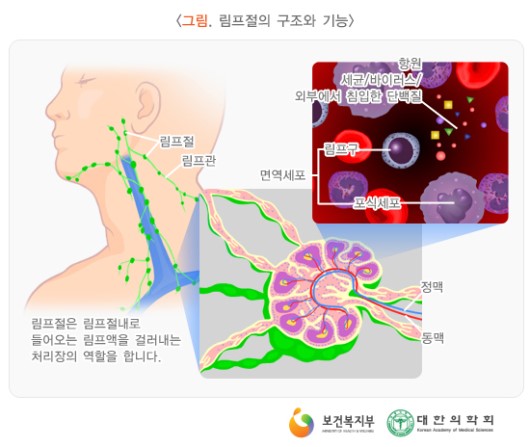 수내과의원 이미지