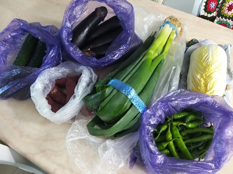 신선채소 이미지