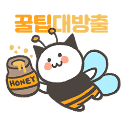 투고샐러드 이미지