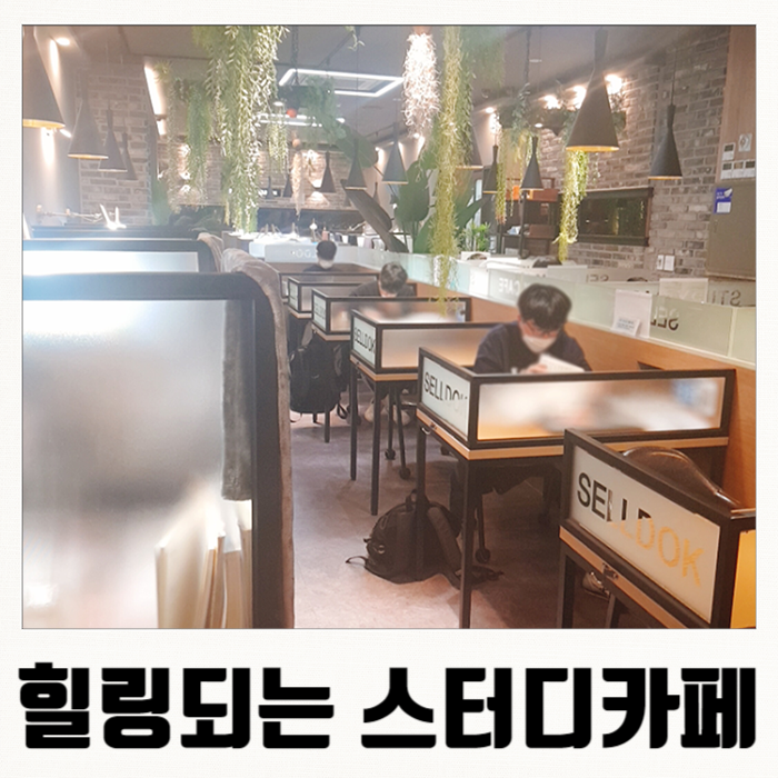 셀독24시스터디카페 이미지