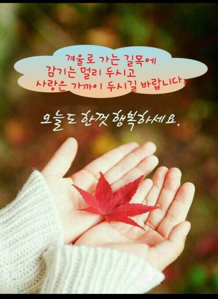 안녕하루야 이미지