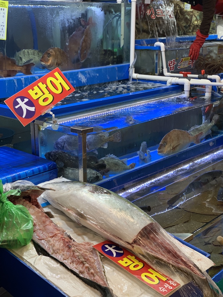 신안상회 이미지