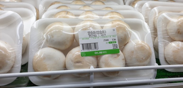 월드정수기마트 이미지