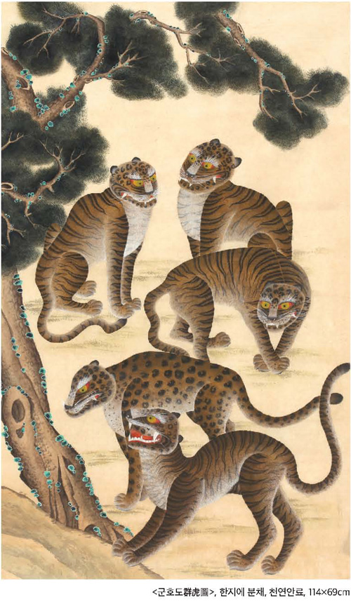 범상치않은범 이미지