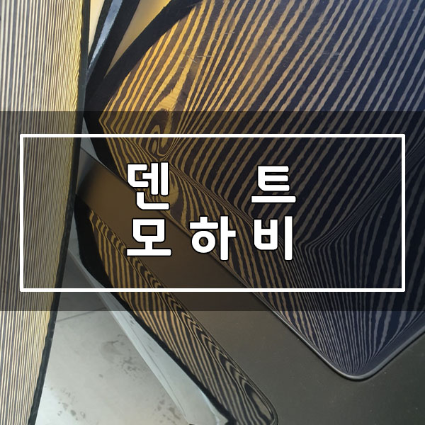 허덴트 이미지