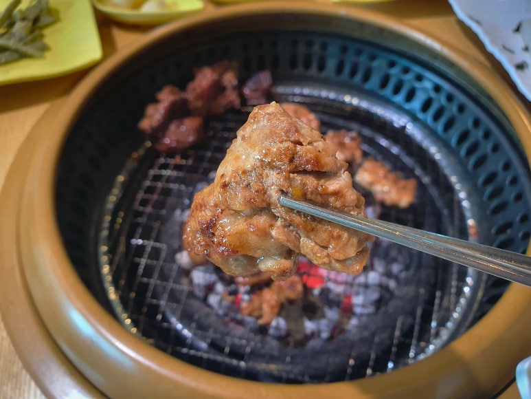 딜리고기 이미지