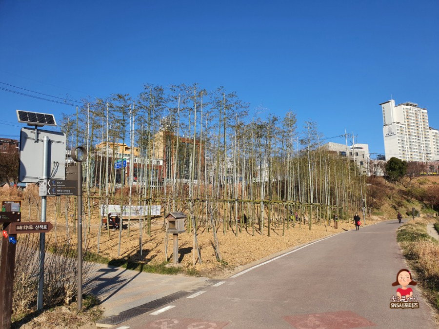 주식회사 바른정원 이미지