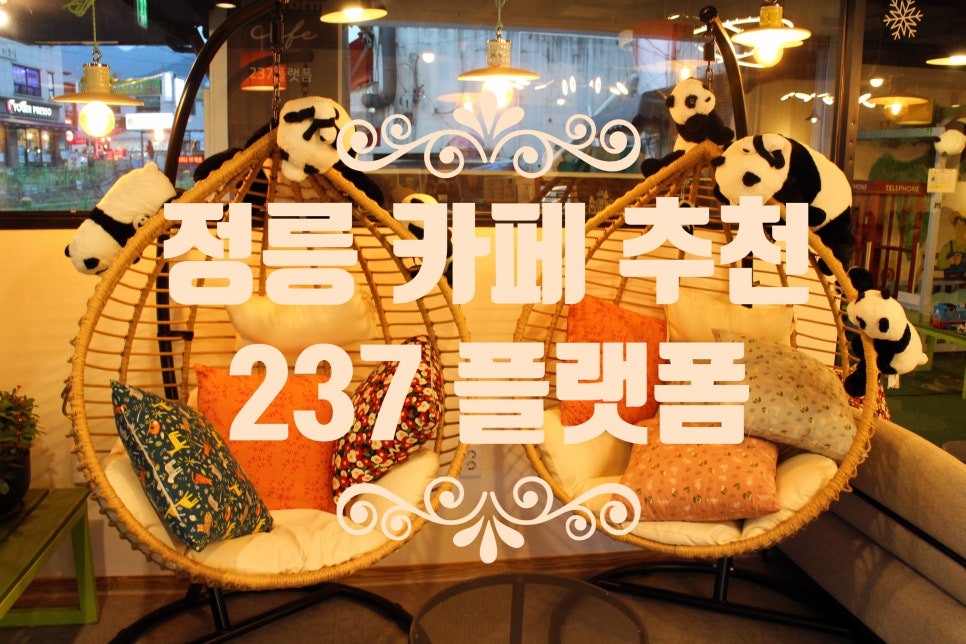 237플랫폼 이미지