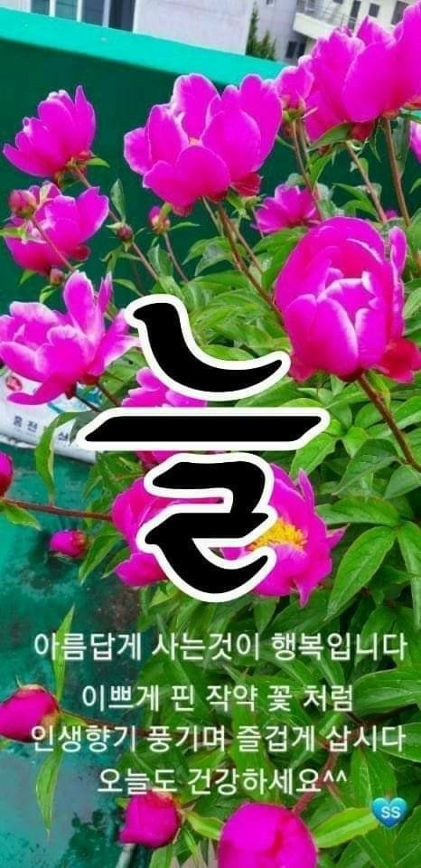 장*순 이미지