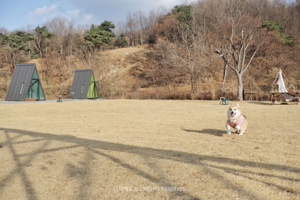 모안10 이미지