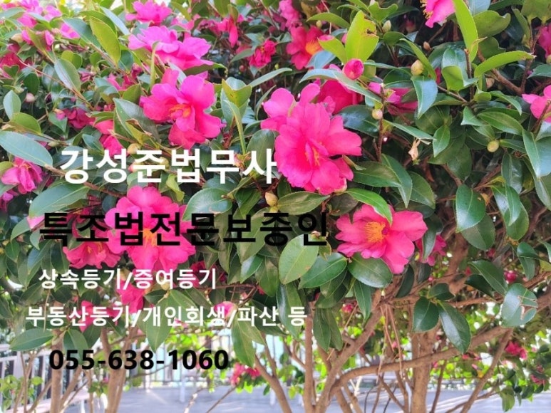 법무사강성준사무소 이미지
