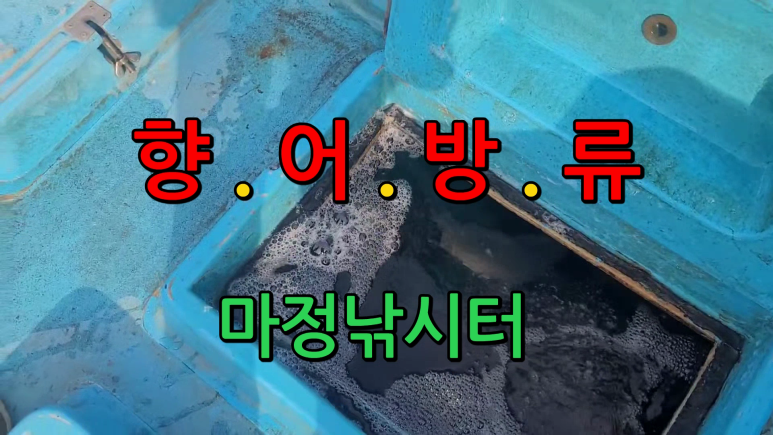 오늘은향어 이미지