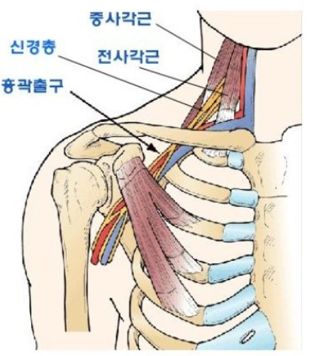 넘버원휘트니스 이미지