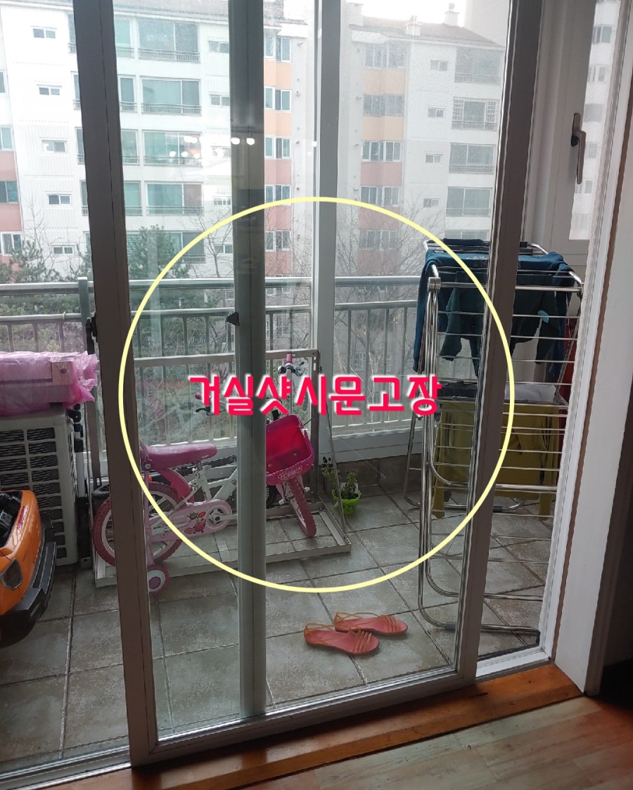 팔도샷시 이미지
