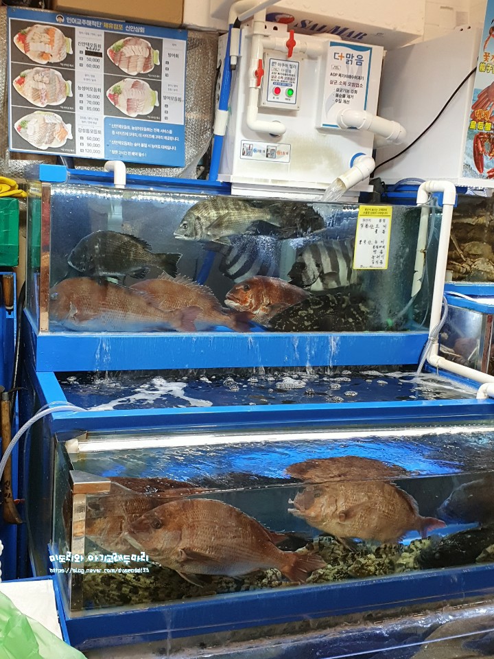 신안상회 이미지