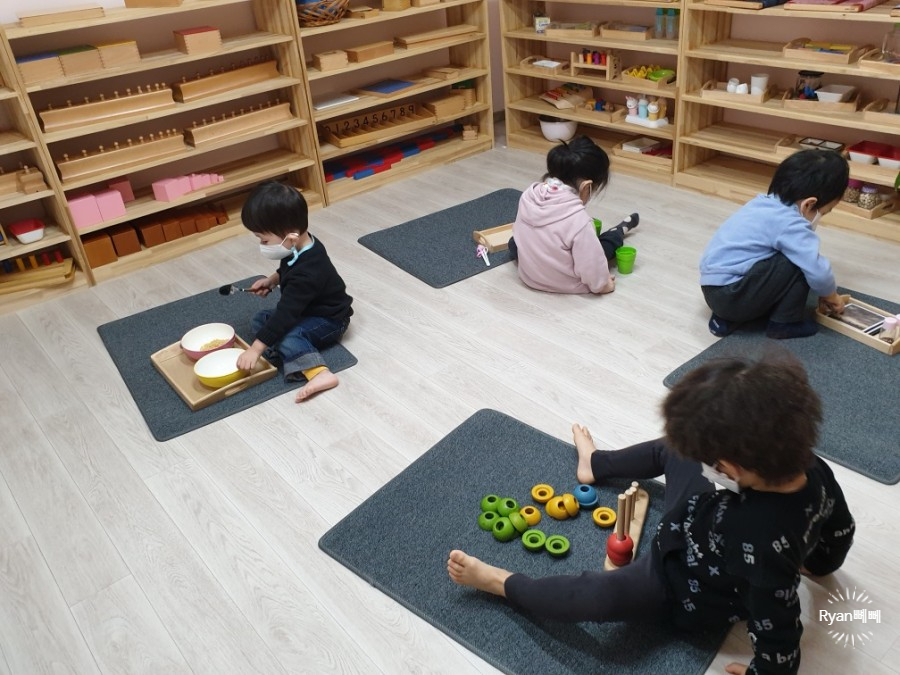 꼬노꼬노 이미지