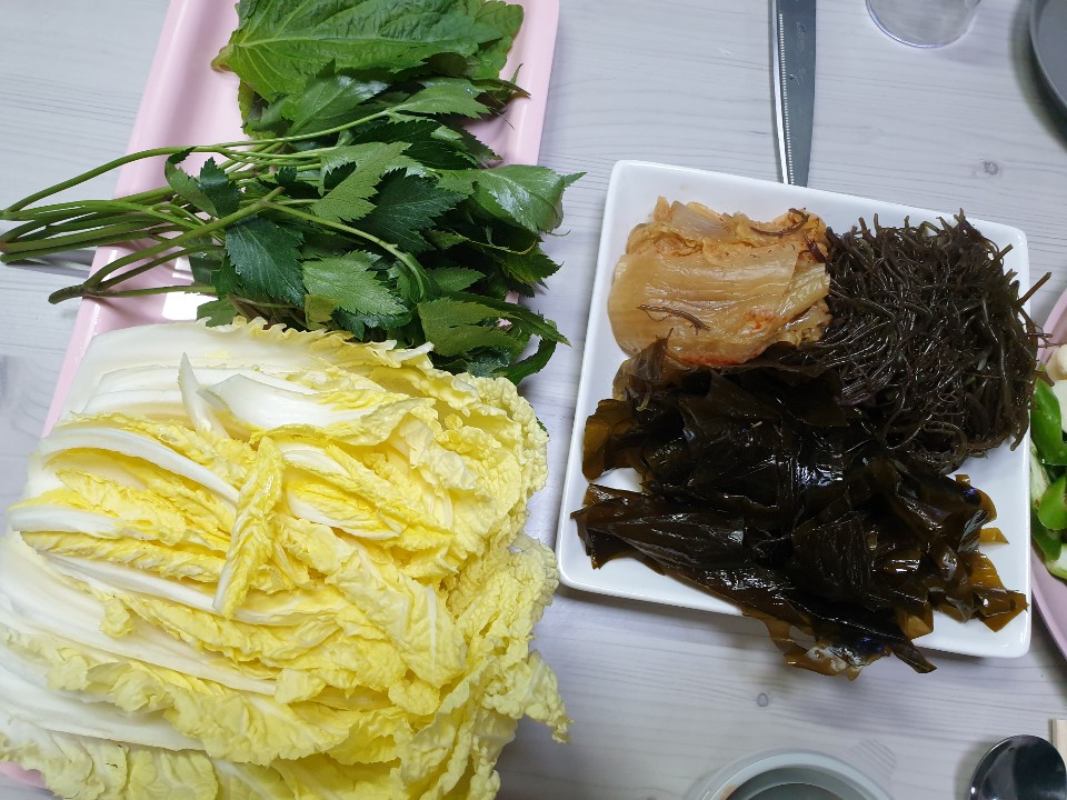 다인호프 이미지