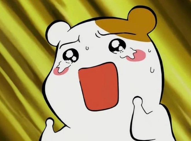 한우곱돌곱창 이미지