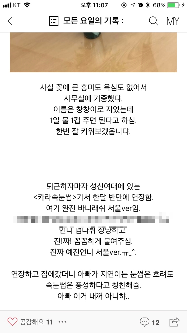 루나래쉬(LUNA LASH) 이미지