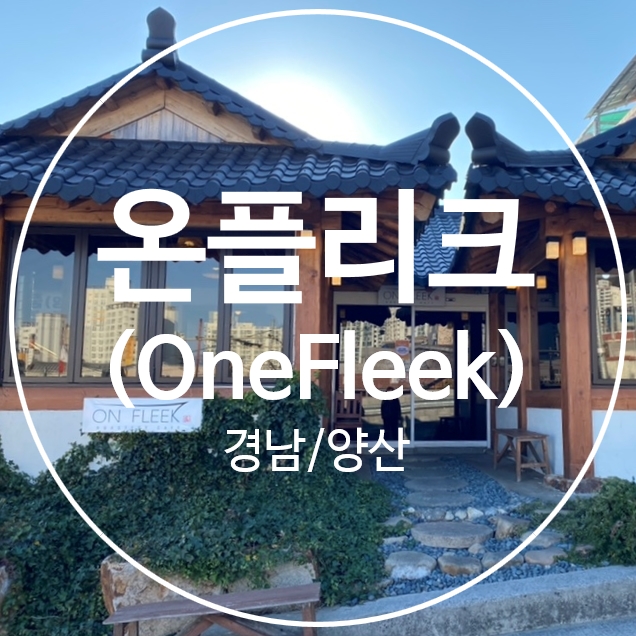 플리크(Fleek) 이미지