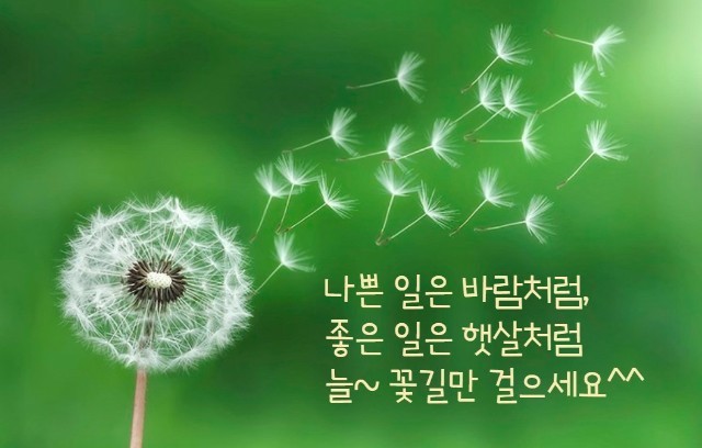 한마음자동차공업사 이미지