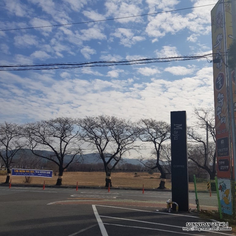 마주(maJu) 이미지
