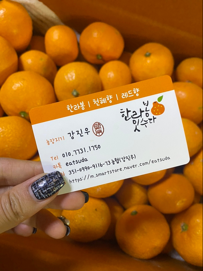 한라봉 잇수다 이미지